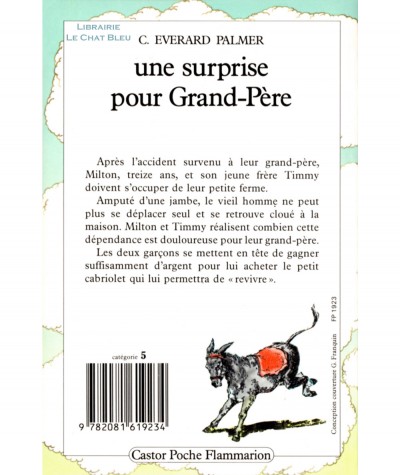 Une surprise pour Grand-Père (Cyril Everard Palmer) - Castor Poche N° 194 - Flammarion