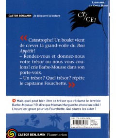 Plume le pirate T4 : Mystère à bord (Paul Thiès) - Castor benjamin - Flammarion